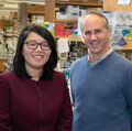 Xinshu (Grace) Xiao, Dr. Daniel Geschwind